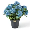 Blue Hydrangea Urn Filler