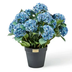 Blue Hydrangea Urn Filler