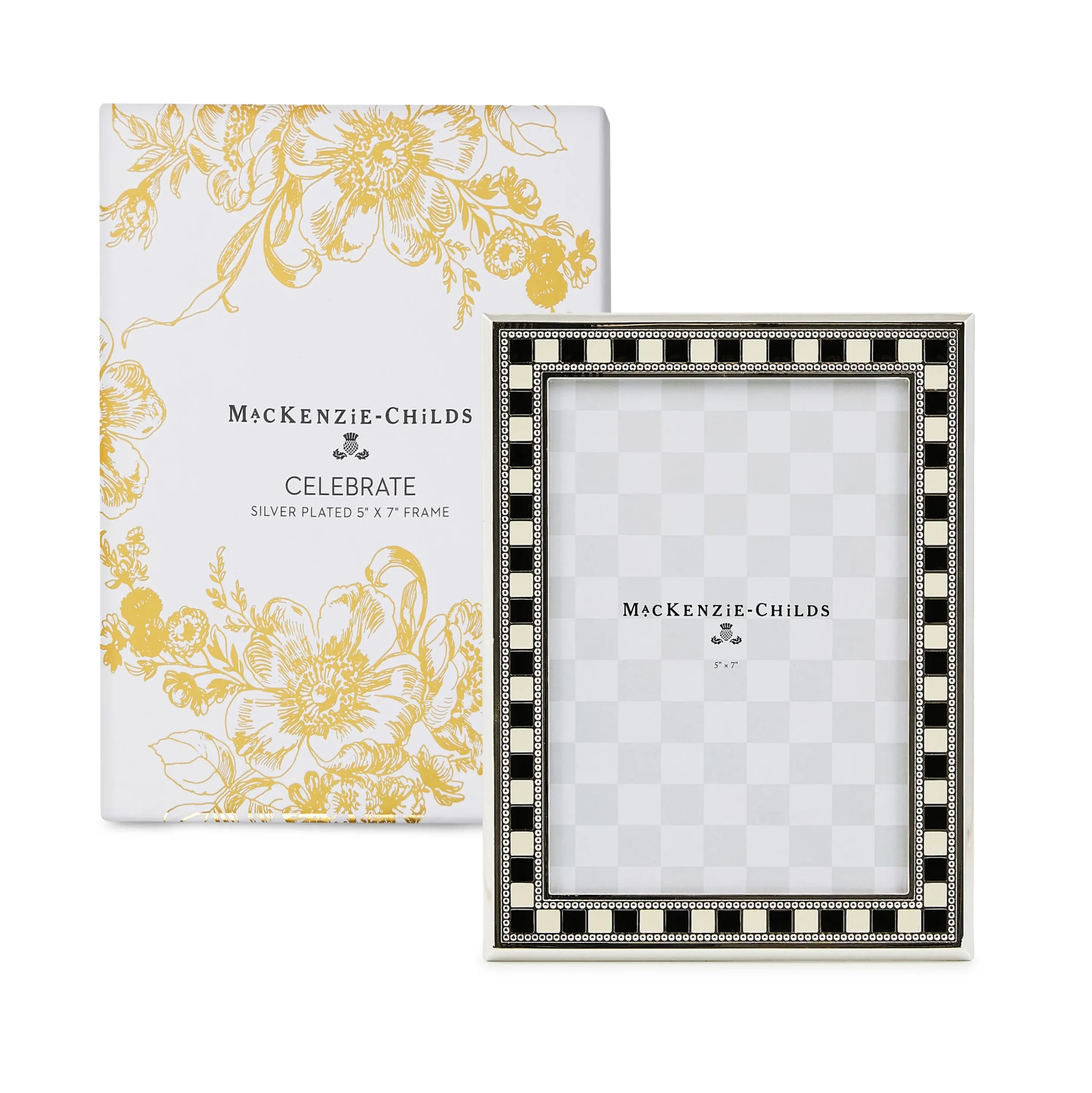Celebrate Silver Plated 5" x 7" Frame