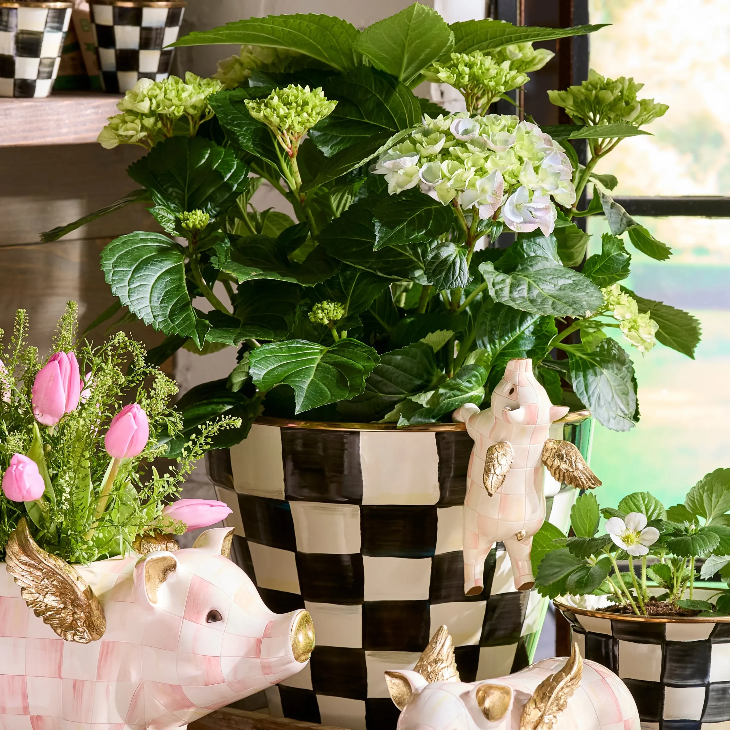Courtly Check Extra Large Garden Pot