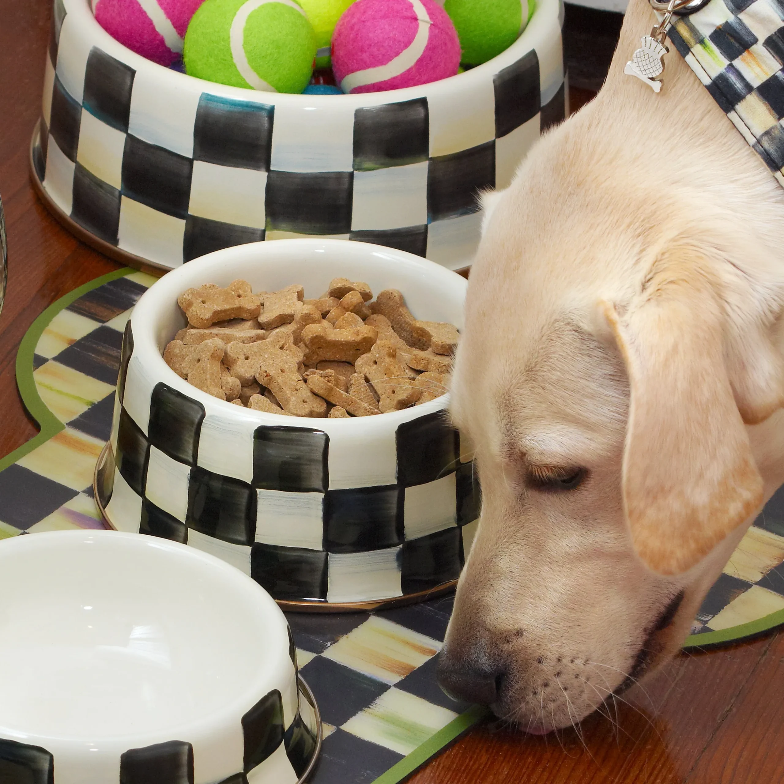 Courtly Check Medium Pet Dish