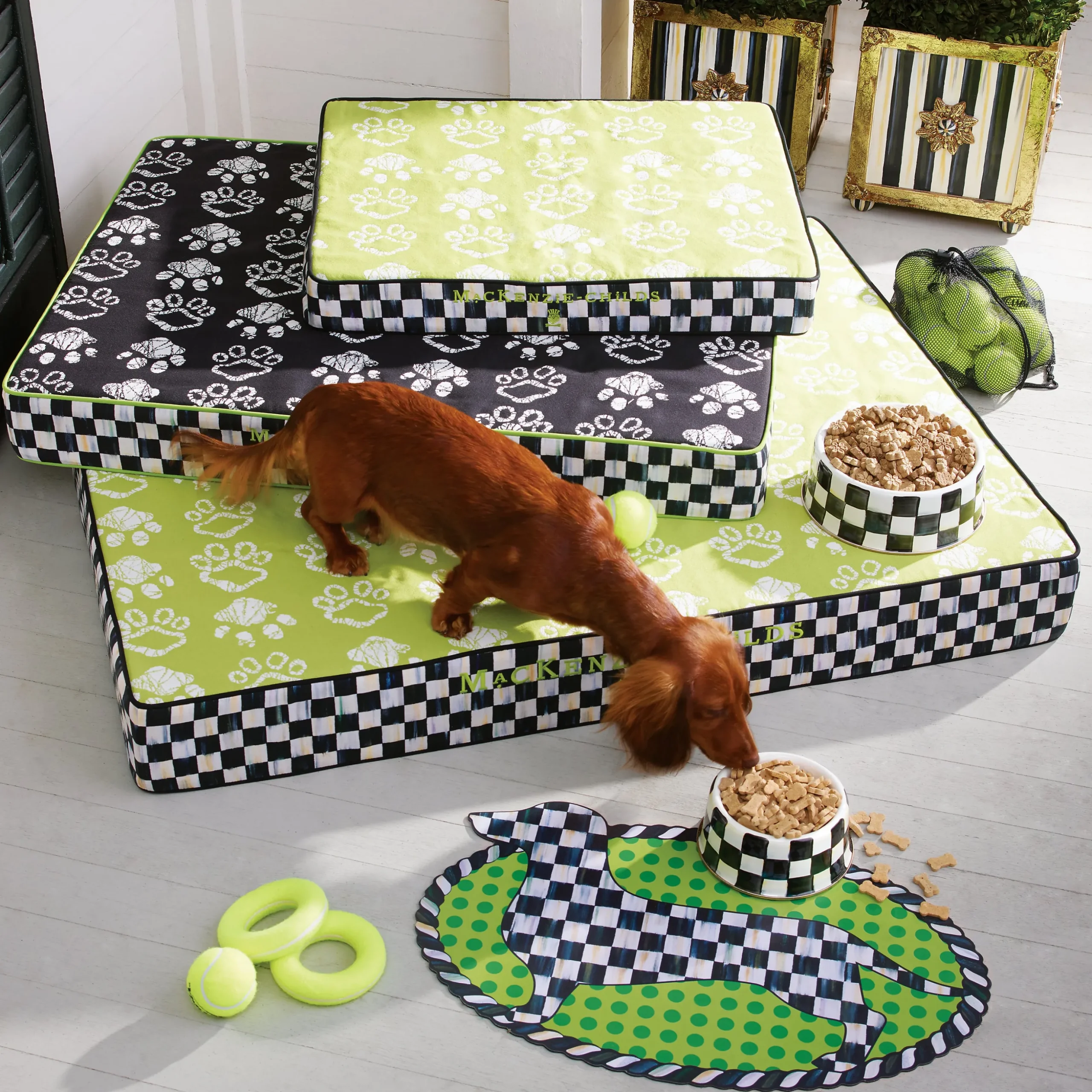 Courtly Check Medium Pet Dish
