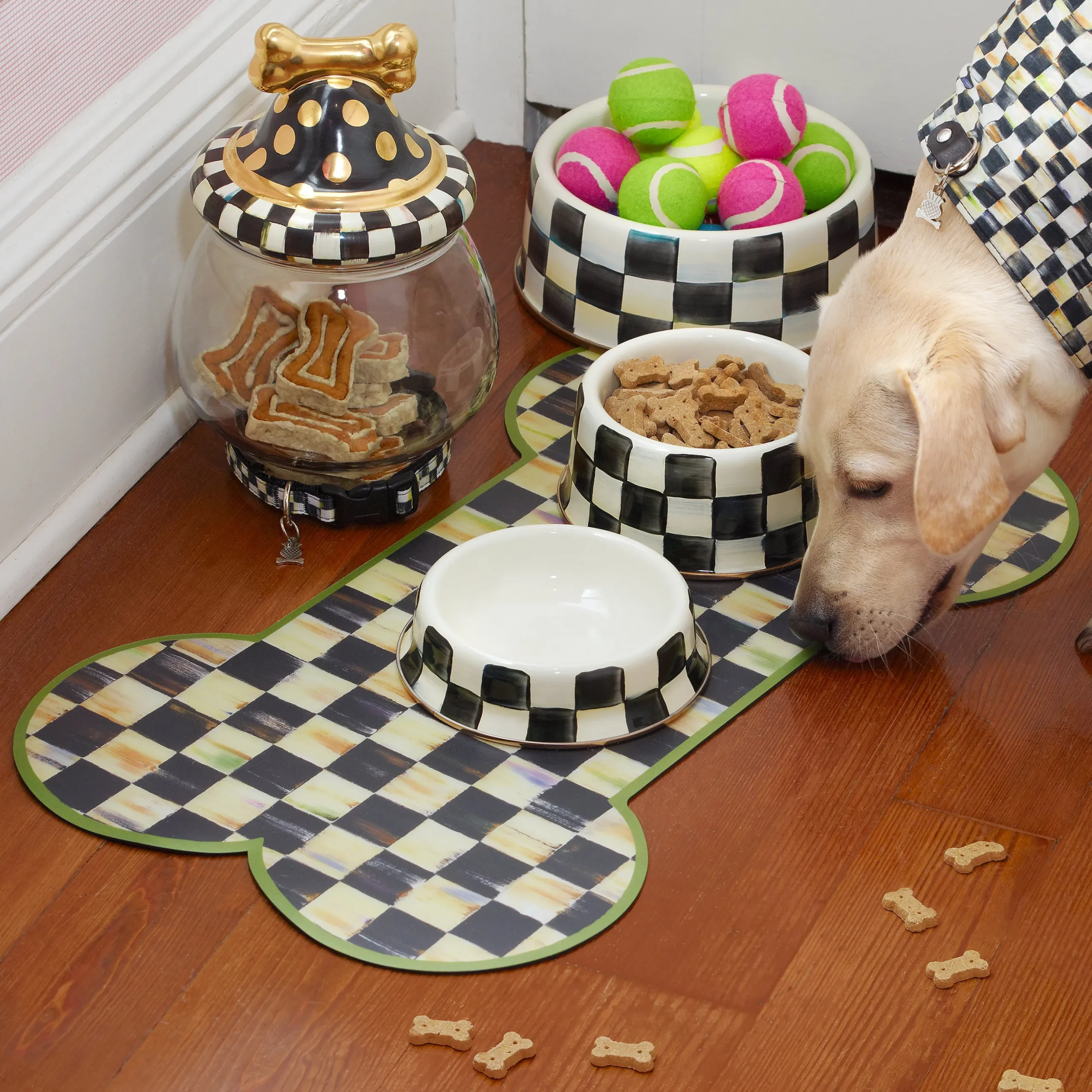 Courtly Check Pup Placemat