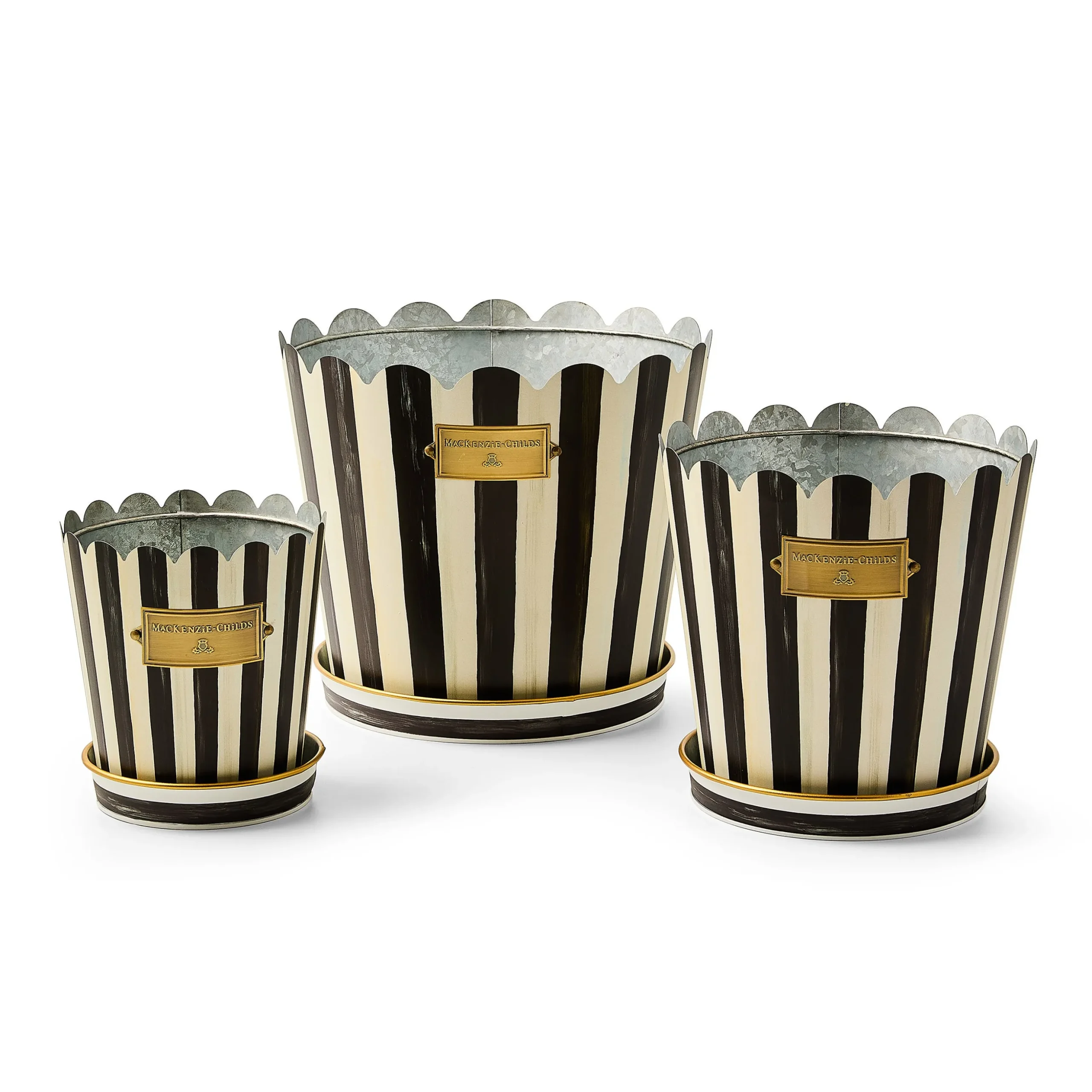 Courtly Stripe Pots & Saucers, Set of 3