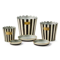 Courtly Stripe Pots & Saucers, Set of 3