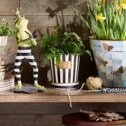 Courtly Stripe Pots & Saucers, Set of 3
