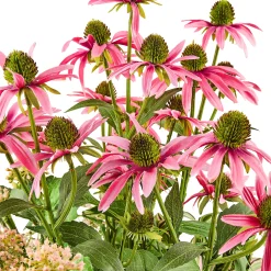 Everlasting Pink Mix Urn Filler