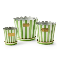 Grass Green Stripe Pots & Saucers, Set of 3