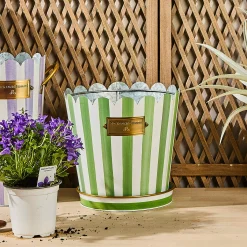 Grass Green Stripe Pots & Saucers, Set of 3