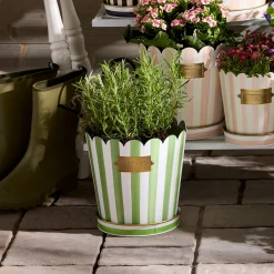 Grass Green Stripe Pots & Saucers, Set of 3