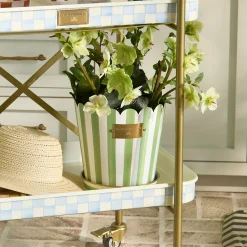 Grass Green Stripe Pots & Saucers, Set of 3