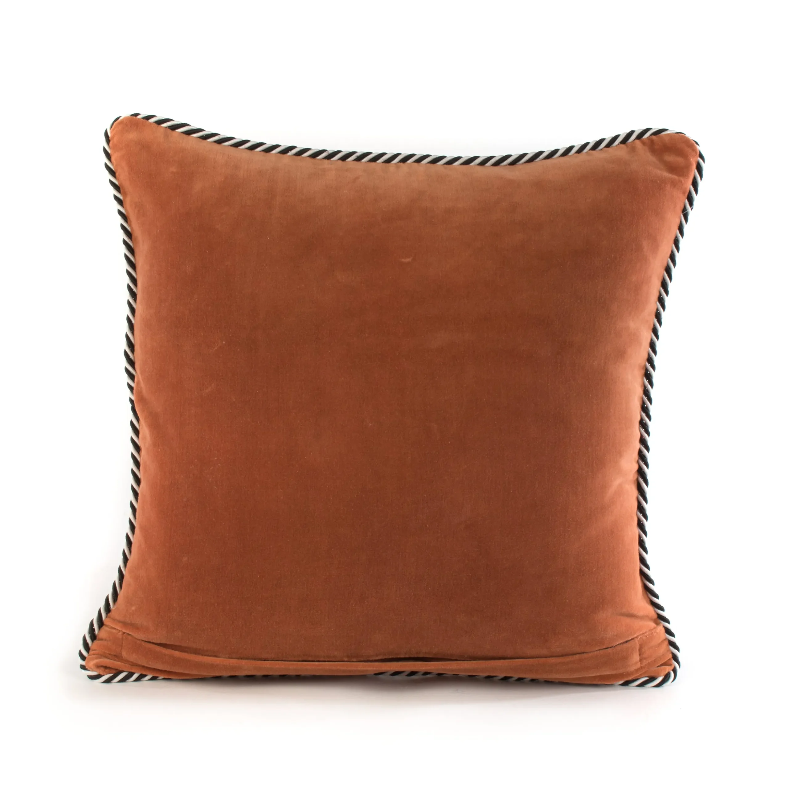 Pablo Picatsso Throw Pillow