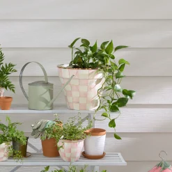 Rosy Check Extra Large Garden Pot