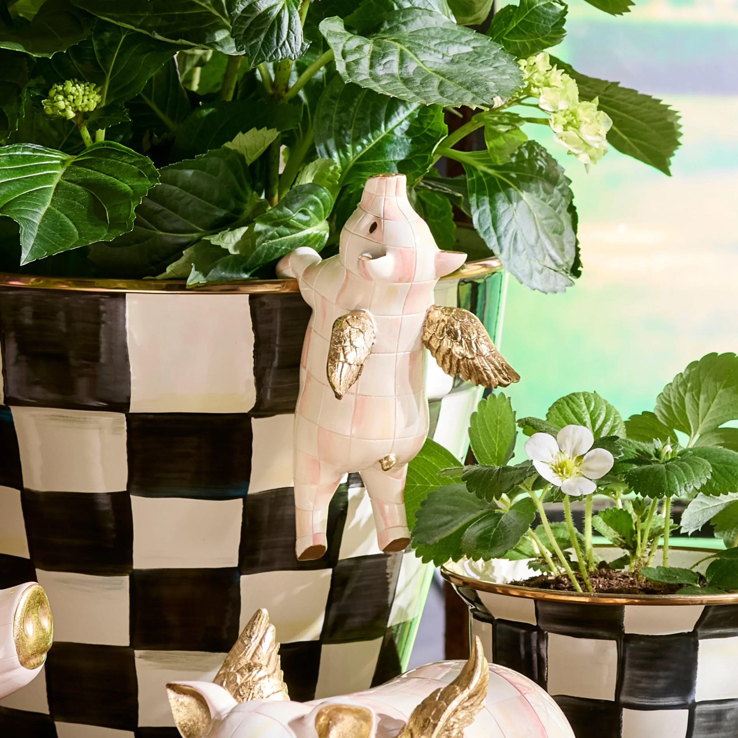 Rosy Check Flying Pig Pot Climber