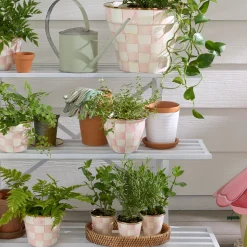 Rosy Check Large Flower Pot