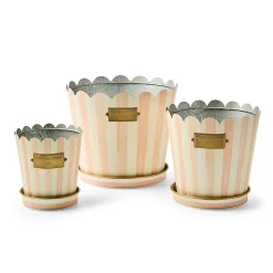 Rosy Stripe Pots & Saucers, Set of 3