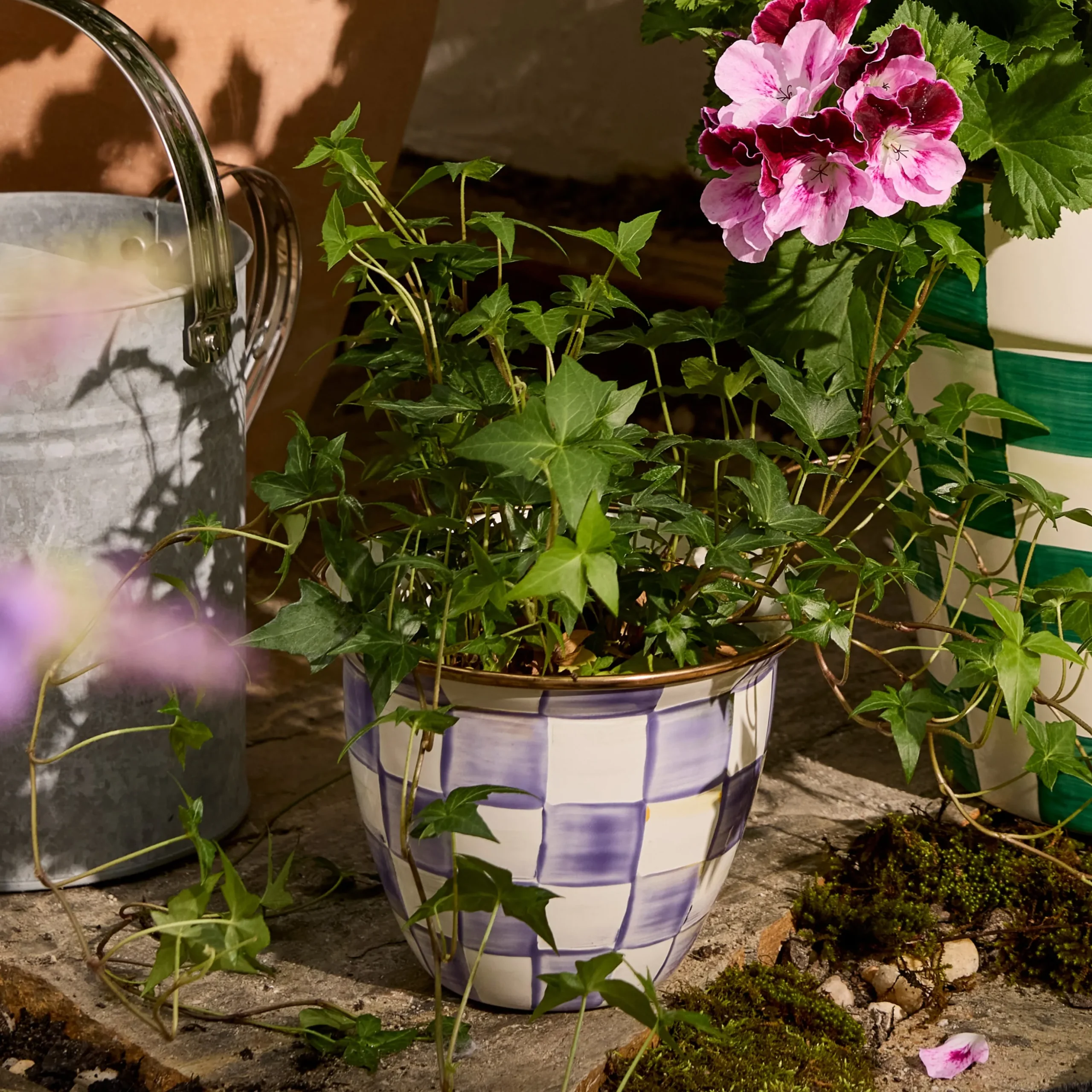 Violet Check Large Flower Pot