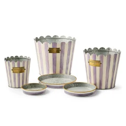 Violet Stripe Pots & Saucers, Set of 3