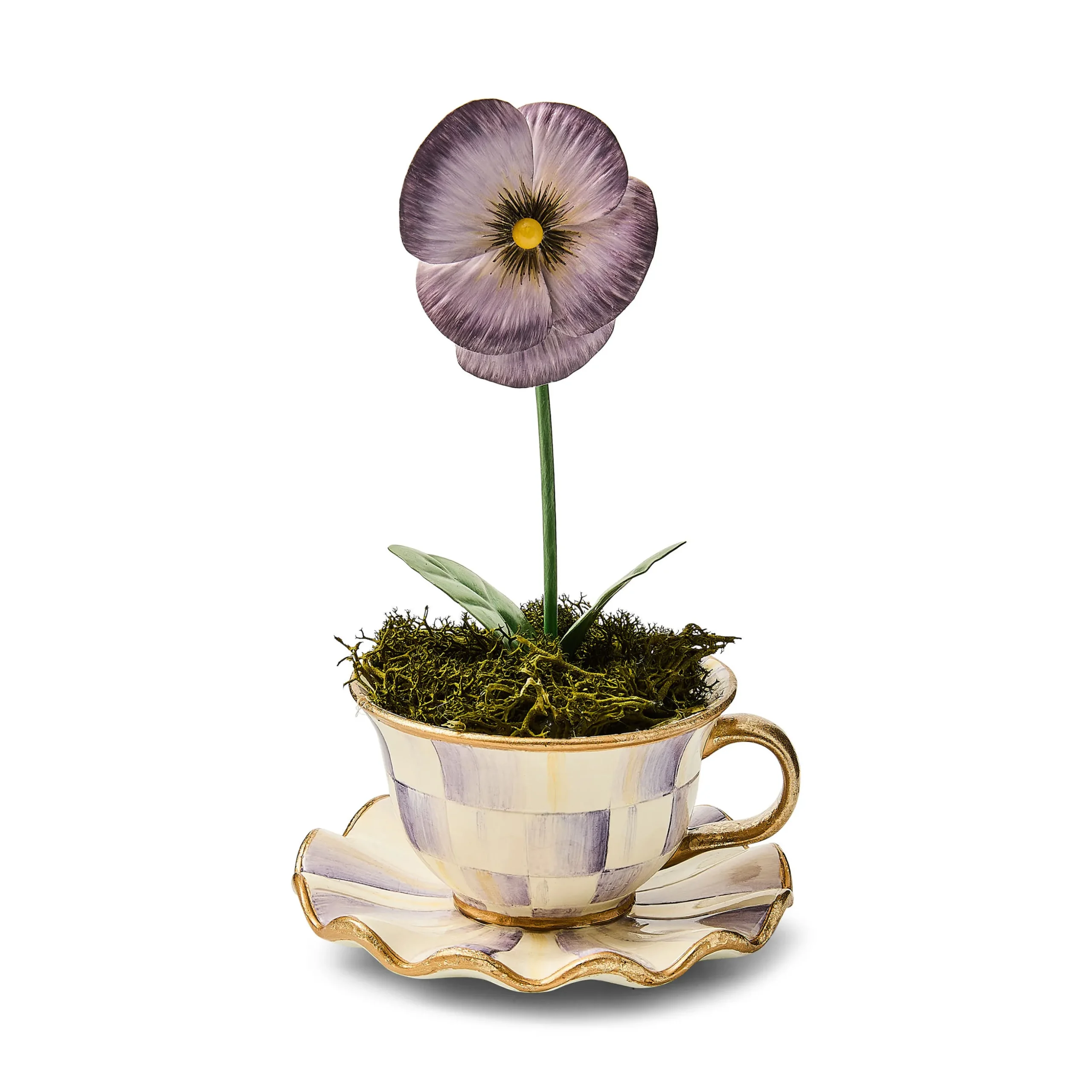 Violet Teacup Pansy