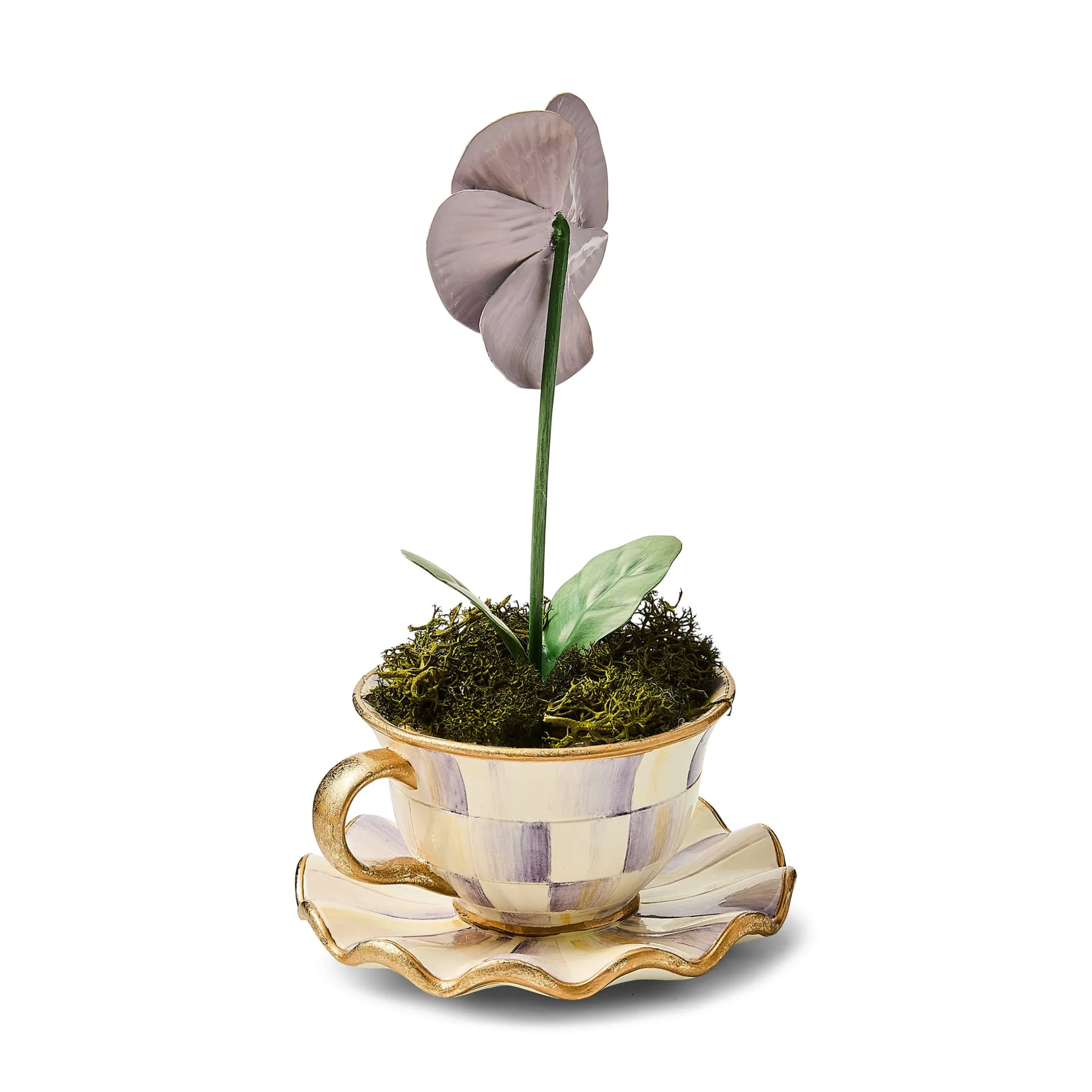 Violet Teacup Pansy